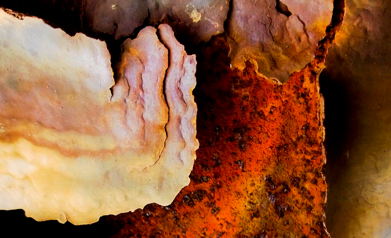 Illustration for article titled 27 Radiant Photos Of Rust